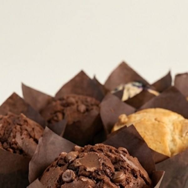 Muffin de chocolate — primer plano